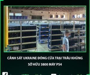 Cảnh sát Ukraine đóng cửa trại trâu khủng sở hữu 3800 máy PS4 - Image 4
