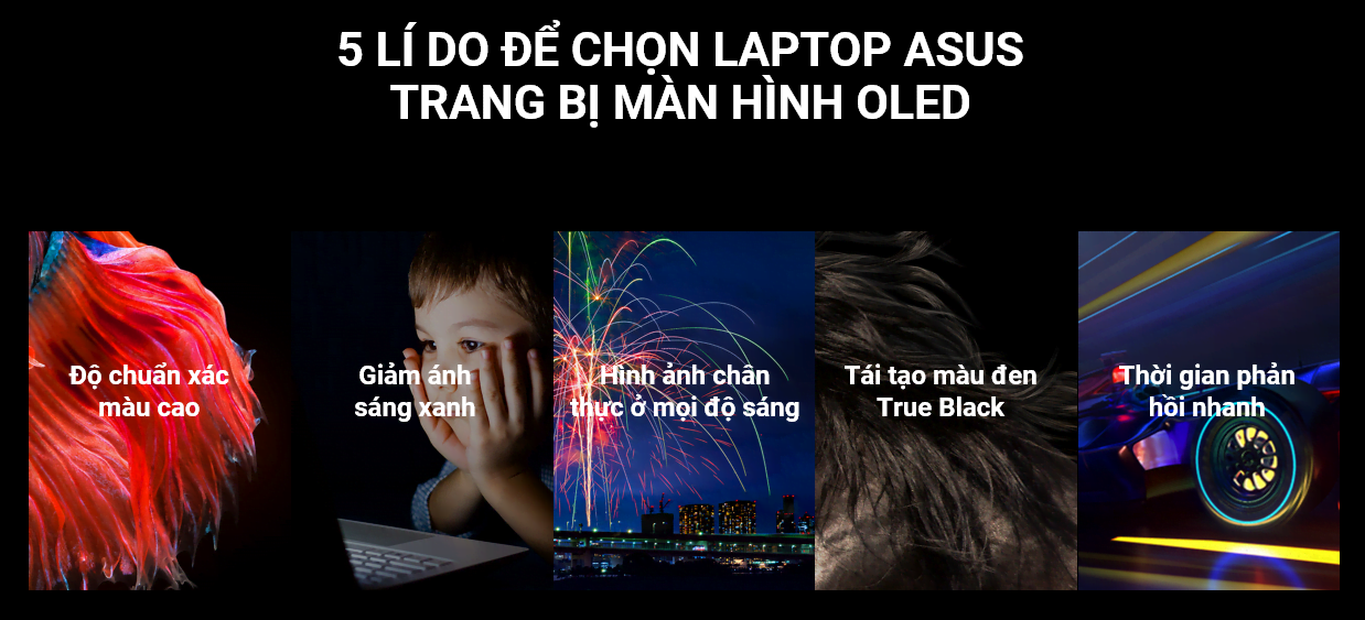 [PR] ASUS cập nhật dải sản phẩm laptop trang bị màn hình OLED - Image 3